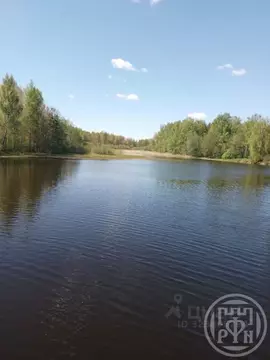 Участок в Ленинградская область, Лужский район, Ретюнское с/пос, д. ...