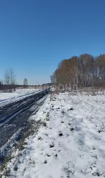 Участок в Новосибирская область, Новосибирский район, Верх-Тулинский ...