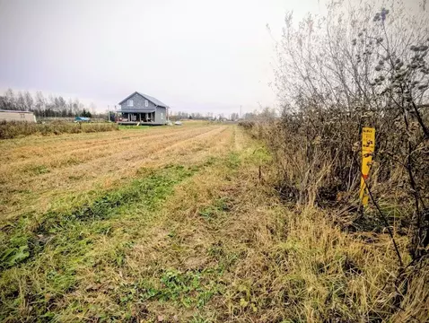 Участок в Ярославская область, Ярославский муниципальный округ, д. ...