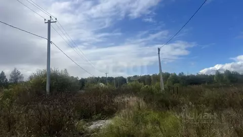 Участок в Тюменская область, Нижнетавдинский муниципальный округ, с. ...