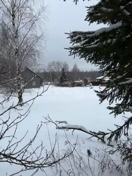 Дом в Ярославская область, Гаврилов-Ямский муниципальный округ, д. ...