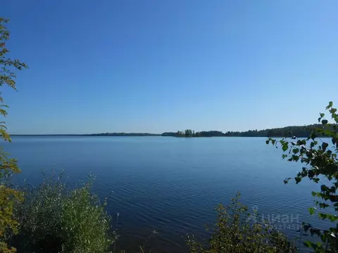 Участок в Новгородская область, Демянский муниципальный округ, д. ...