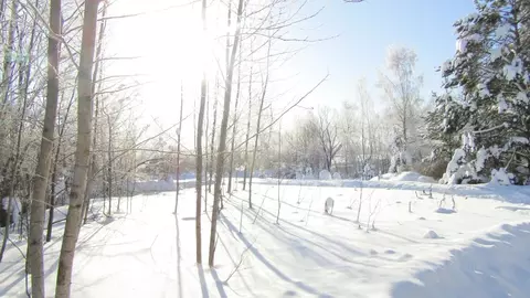 Участок в Московская область, Рузский муниципальный округ, с. Старо  ...