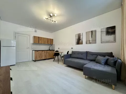 Студия Санкт-Петербург просп. Ветеранов, 214 (26.0 м)