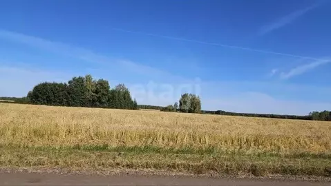 Участок в Тюменская область, Нижнетавдинский муниципальный округ, ...