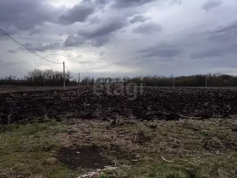 Участок в Ростовская область, Аксайский район, Щепкинское с/пос, ...