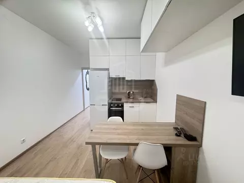 Студия Санкт-Петербург Новолитовская ул., 12 (25.0 м)