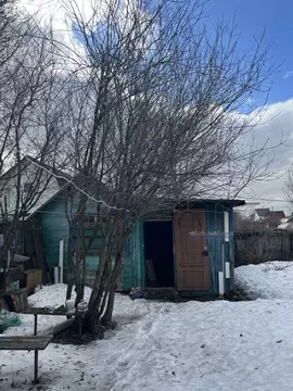 Дом в Алтайский край, Барнаул (35 м)