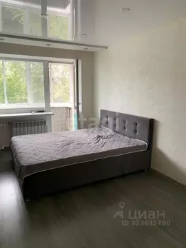 1-к кв. Амурская область, Благовещенск ул. Ленина, 182 (29.8 м)