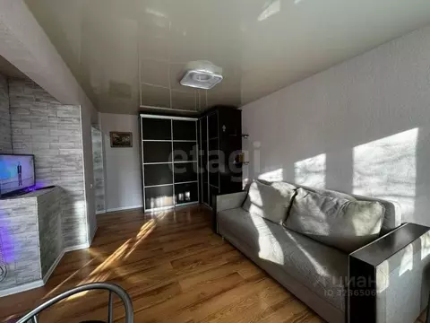 Студия Иркутская область, Иркутск Пограничный пер., 6 (31.0 м)