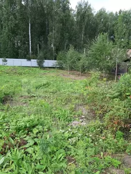 Участок в Тюменская область, Тюмень Труфаново мкр, ул. Черемуховая, 16 ...