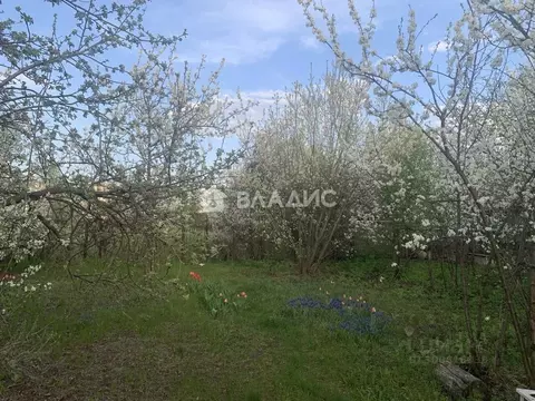 Участок в Воронежская область, Рамонский район, с. Новоживотинное ул. ...