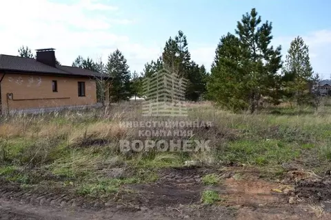 Участок в Воронежская область, с. Новая Усмань ул. Нахимовская, 51/1 ...