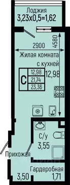 Студия Краснодарский край, Туапсинский муниципальный округ, с. Небуг ...