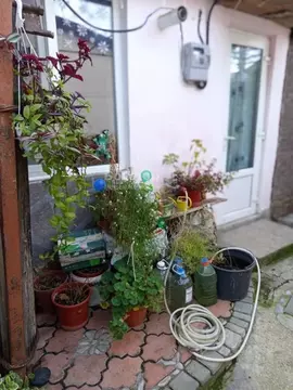 Дом в Крым, Феодосия пер. Бульварный (37 м)