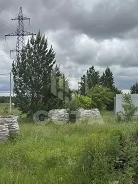 Участок в Воронежская область, с. Новая Усмань ул. Ботаническая, 31 ...
