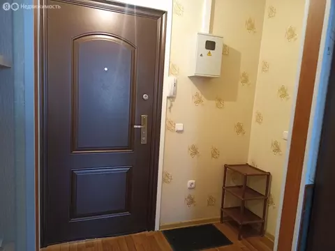 Квартира-студия: Кириши, улица Декабристов Бестужевых, 18 (28.1 м)