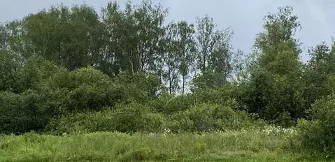 Участок в Московская область, Клин городской округ, д. Трехденево  ...