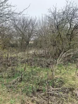 Участок в Белгородская область, Белгородский муниципальный округ, с. ...