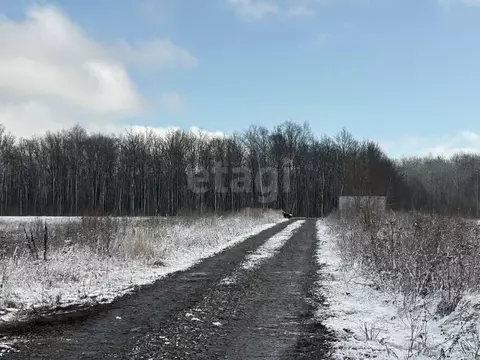 Участок в Мордовия, Саранск Восход садоводческое товарищество,  (4.0 ...