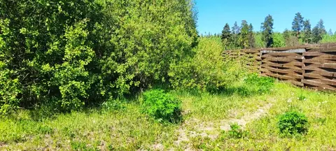 Участок в Московская область, Лосино-Петровский городской округ, ...