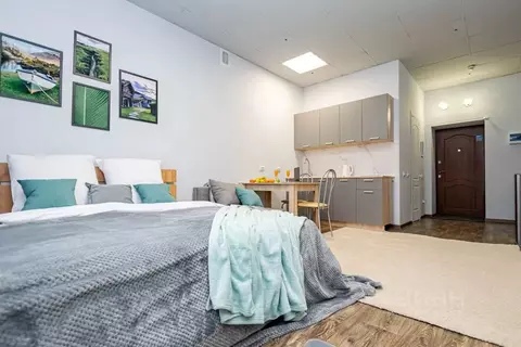 Студия Пермский край, Пермь ул. Куйбышева, 109А (27.0 м)