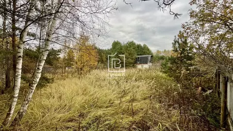 Участок в Калужская область, Дзержинский муниципальный округ, Льва ...