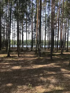 Участок в Ленинградская область, Сосновый Бор Балтийское кп, ул. 2-я, ...