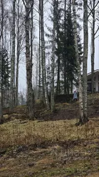 Участок в Ленинградская область, Всеволожский район, Куйвозовское ...