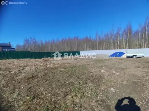 Участок в Всеволожск, Дорожный переулок (6 м)