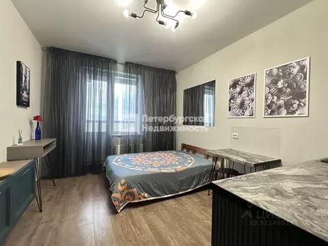 Студия Санкт-Петербург ул. Плесецкая, 10 (20.7 м)