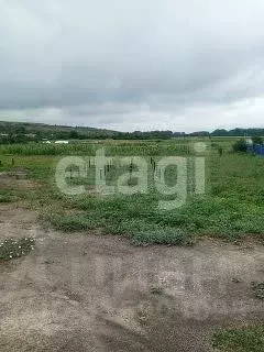 Участок в Белгородская область, Алексеевский муниципальный округ, с. ...