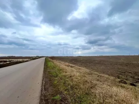 Участок в Тамбовская область, Тамбовский муниципальный округ, д. ...