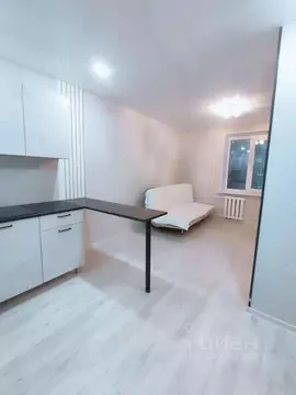 Студия Самарская область, Самара ул. Дзержинского, 13к2 (17.5 м)