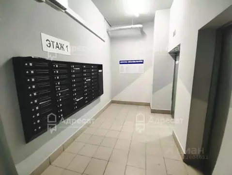 1-к кв. Волгоградская область, Волгоград ул. Гаря Хохолова, 4 (37.0 м)