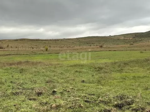 Участок в Крым, Симферопольский район, Чистенское с/пос, с. Камышинка  ...