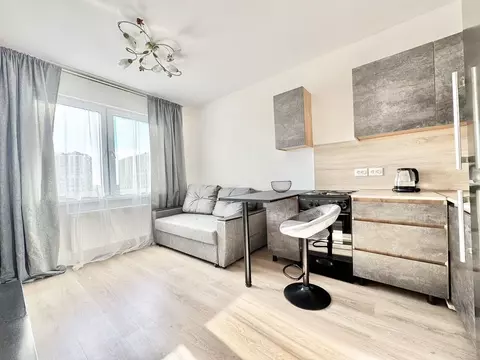 Студия Санкт-Петербург ул. Пахомовская, 18к2 (21.0 м)