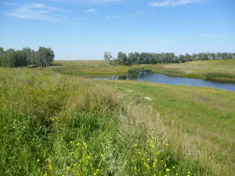 Участок в Омская область, Черлакский район, с. Соляное  (4.7 сот.)