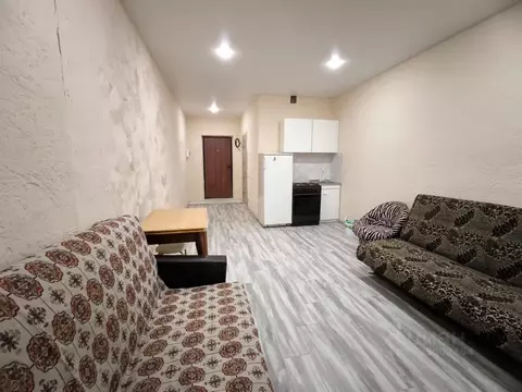 Студия Московская область, Старая Купавна Богородский городской округ, ...