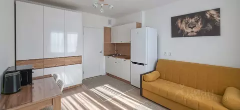 Студия Санкт-Петербург ул. Пахомовская, 12к1 (21.0 м)