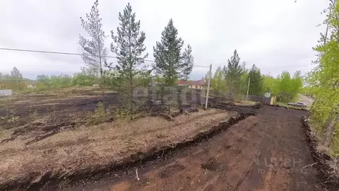 Участок в Тюменская область, Тюмень Звенящие Кедры Тюмени ДНП,  (7.0 ...