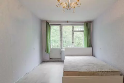 2-к кв. Санкт-Петербург Гражданский просп., 117К3 (50.0 м)