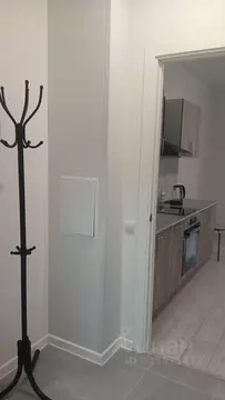 Студия Санкт-Петербург пос. Шушары, просп. Старорусский, 5к2 (19.0 м)