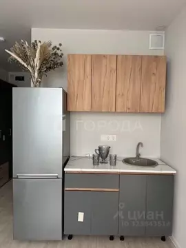 Студия Новосибирская область, Новосибирск ул. Кирова, 113/2 (30.0 м)