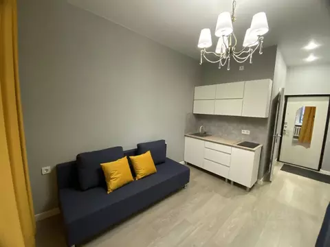 Студия Татарстан, Казань ул. Димитрова, 8 (17.3 м)