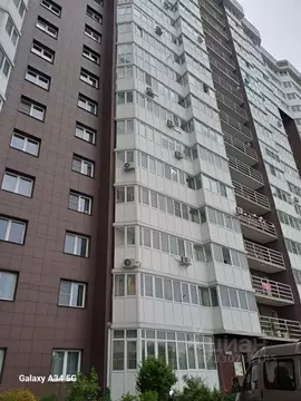 Студия Московская область, Старая Купавна Богородский городской округ, ...