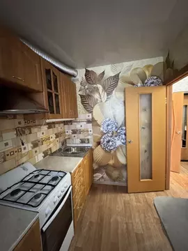 1-к кв. Нижегородская область, Нижний Новгород ул. Евгения ...