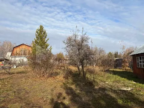 Участок в Тюменская область, Тюменский муниципальный округ, Кармак СНТ ...