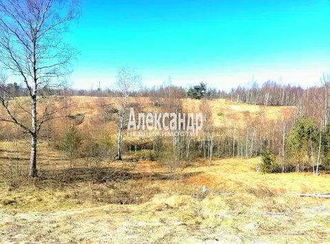 Участок в Ленинградская область, Приозерский район, Сосновское с/пос, ...