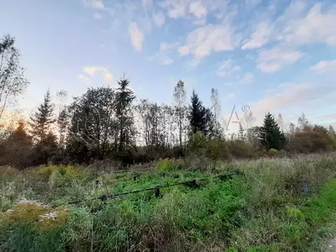 Участок в Ленинградская область, Кингисеппский район, Опольевское ...